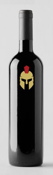 Photo for: Curtis Gladiator MV Shiraz 2021