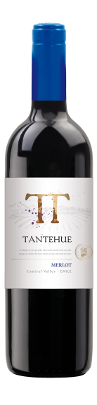 Photo for: Tantehue Merlot