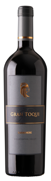 Photo for: Casas Del Toqui Gran Toqui Carmenere